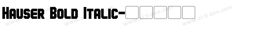 Hauser Bold Italic字体转换